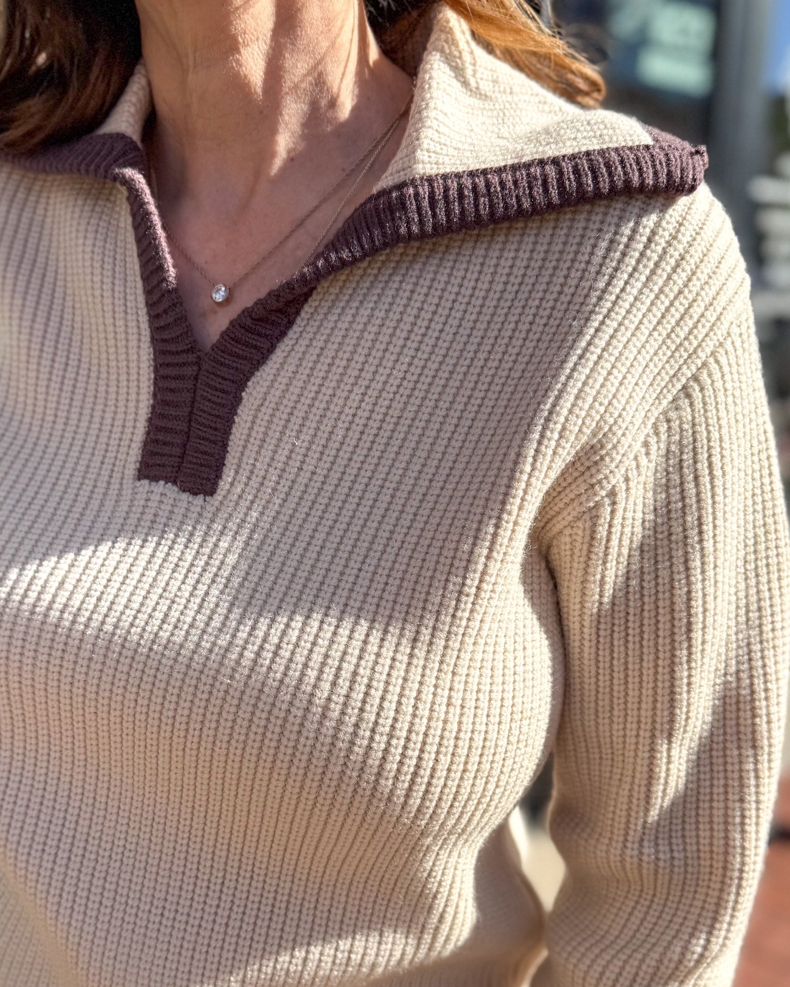 Taupe Contrasting Collar Sweater