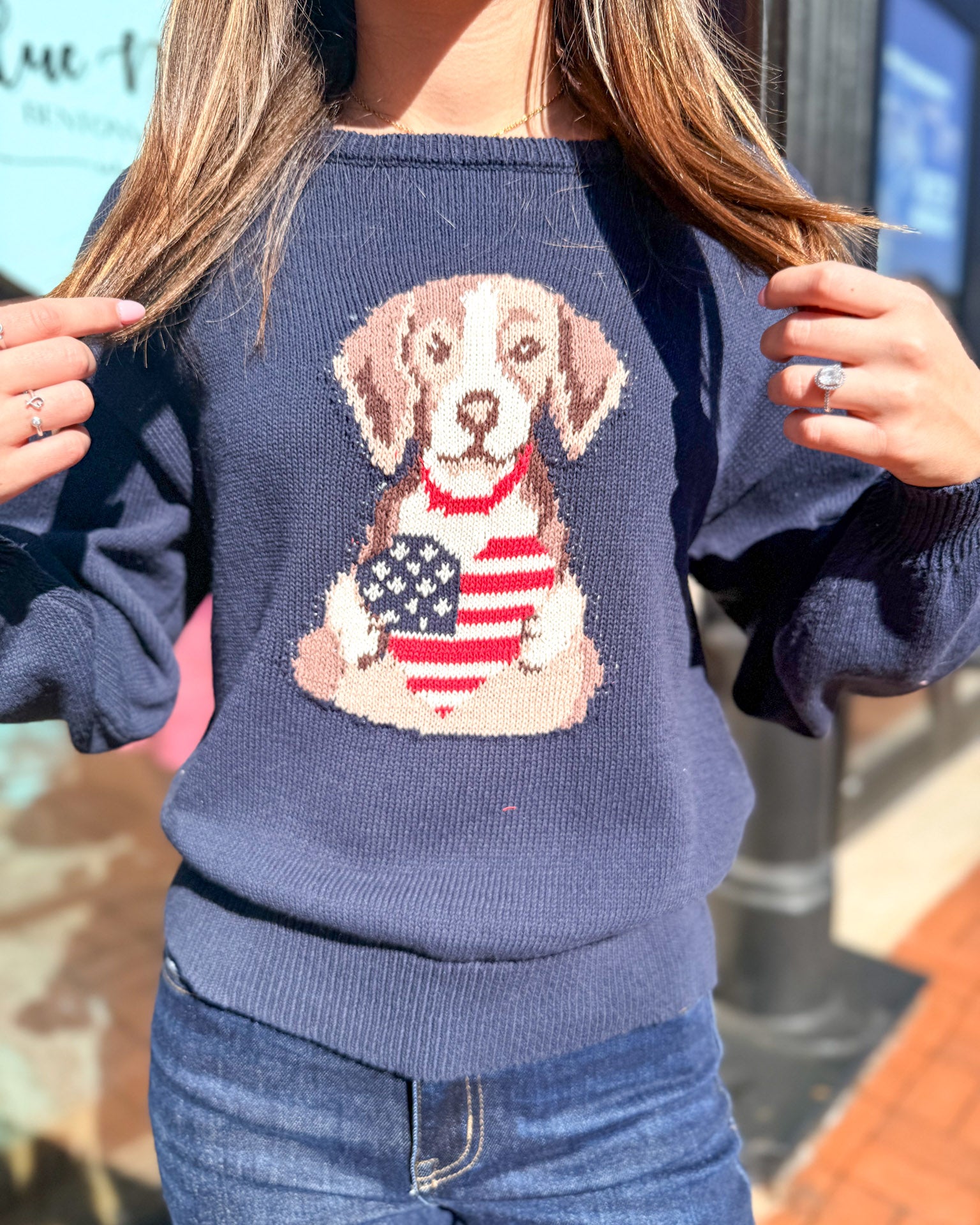 American Puppy Sweater