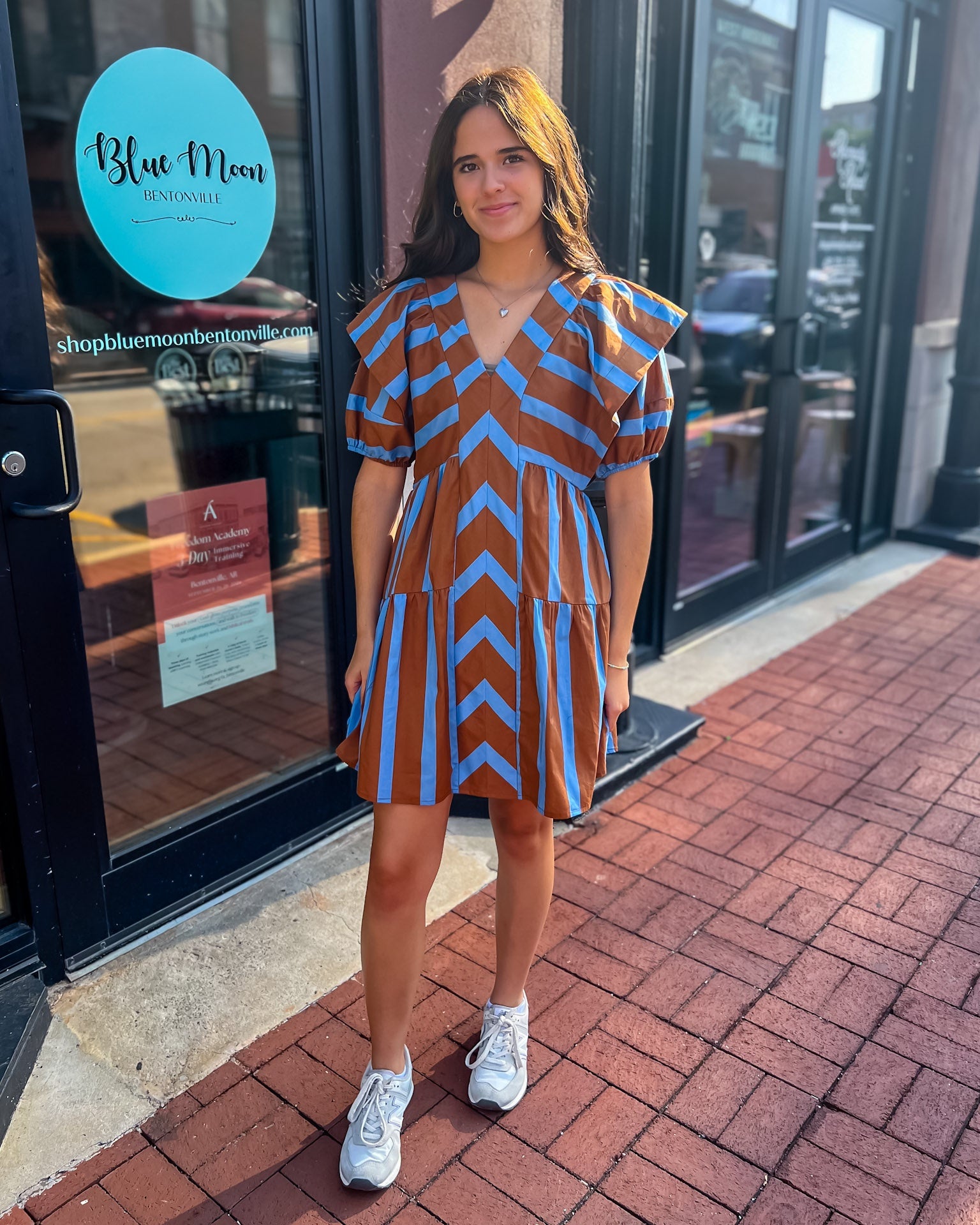 Brown and Blue Mixed Line V-Neck Mini Dress