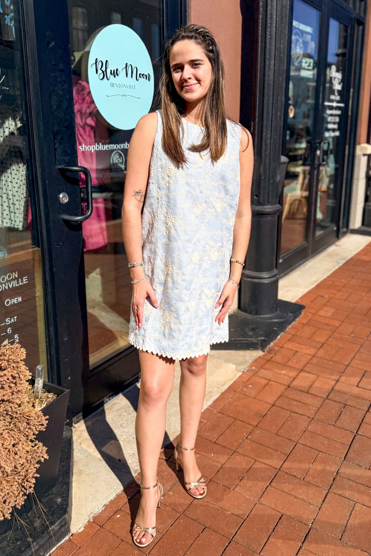 Sunday Brunch Embroidered Dress