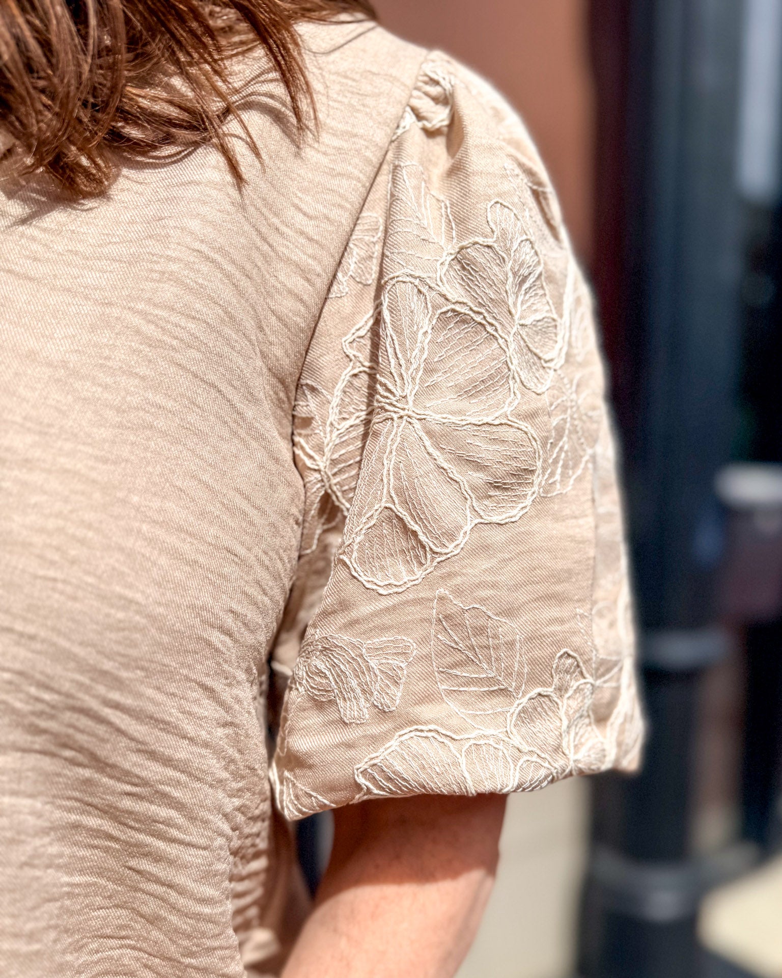 Taupe Embroidered Puff Sleeve Top